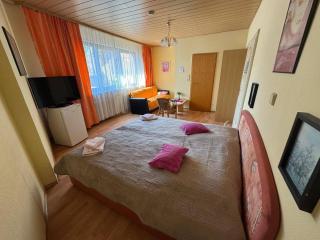 Hotel Garni Neckarblick - Neckarsteinach - 5