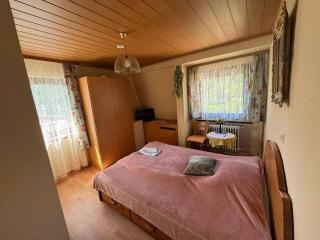Hotel Garni Neckarblick - Neckarsteinach - 2