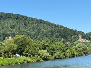Hotel Garni Neckarblick - Neckarsteinach - 3