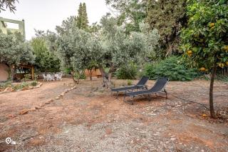 Elea House With a Garden Full Of Trees - Nea Makri - 2