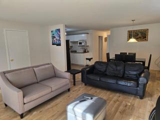 D's Place Hull Gatineau-Ottawa with Free Parking - Gatineau - 6