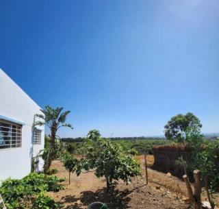 Villa BleuBlanca Tangier - Tangeri - 5