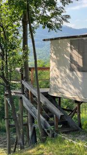 Mesteceni Glamping - Văleni - 0