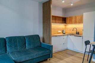 LuxFlats Apartamenty Ostrowo - Ostrowo - 8