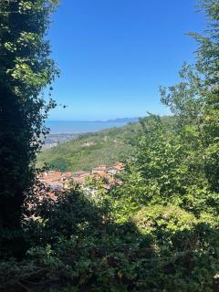Casale Rosy Versilia - Vitoio - 4