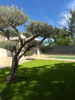 Villa avec piscine - L'Oliviera - Charmes-sur-Rhône - 8