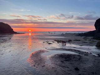 Millbrook, a seaside family home 20m from the beach - Little Haven - 3