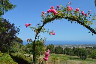 Villa Iolanda-Sive Natura Wine&House - Giarre - 2