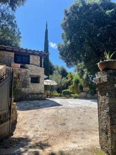 Casale Rosy Versilia - Vitoio - 5