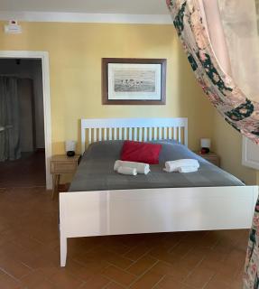 Fattoria Laviosa - Fauglia - 7