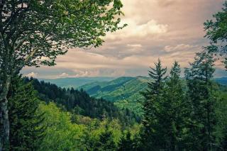 A Mountains Suffer Kasauli Operated By Splendid Hotels - Kasauli - 9