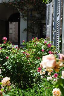Le Ragois - Richelieu - 4
