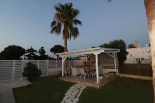 The tree palm trees - 3