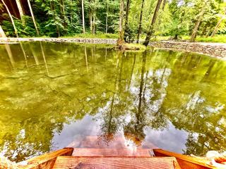 Apartmama Lipová - Lipová-lázně - 9