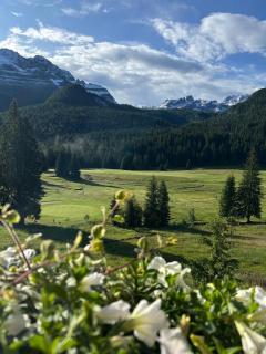 Maribel Hotel - Madonna di Campiglio - 8