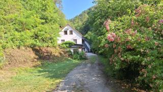 Vila Anton - Dobrna - 9