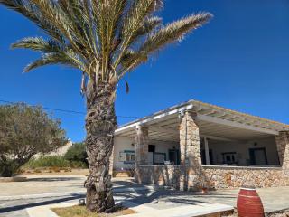 Las Palmas Apartments - Karpathos - 7