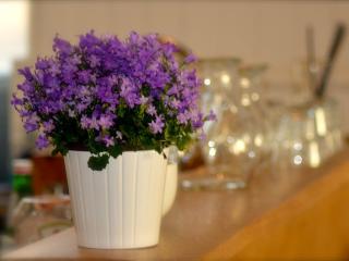 The Courie Inn - Killin - 6