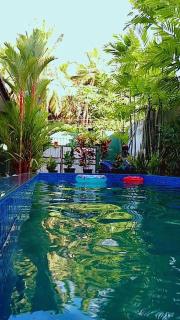 The Comfortable Coconut House - Unawatuna - 0
