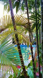 The Comfortable Coconut House - Unawatuna - 6