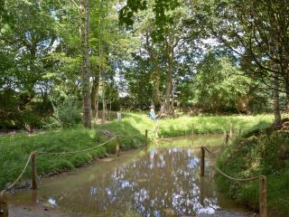 Demelza - Launceston - 6