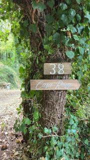 Casale Rosy Versilia - Vitoio - 7