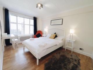 Lovey one bedroom flat near Marble Arch - Londra - 6