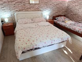 Apartments Nebojša - Sokobanja - 8