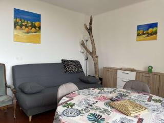 Appart 2 pièces 4 couchages BANYULS SUR MER BN100-B421 - 8