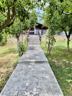 Casa Andrei - 9