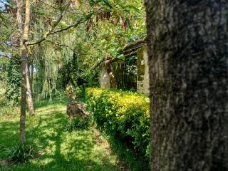 R3 - Casa da Aldeia - Monte Redondo - Penacova - 8