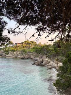 Villa Soupicou - Hyères - 7