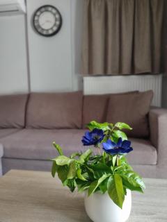 Aqua Apartment - Lygia - 0