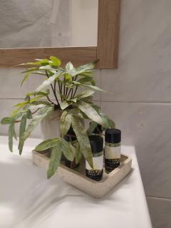 Aqua Apartment - Lygia - 8