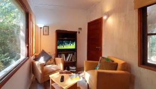 Casa del Bosque - Punta del Este - 9