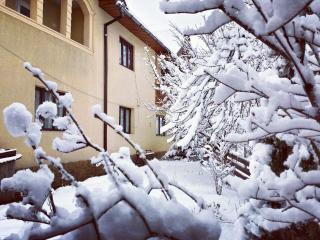 Pensiunea La Muncel - Sadova - 7