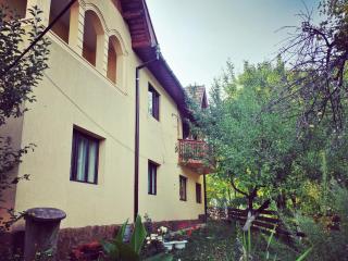 Pensiunea La Muncel - Sadova - 8