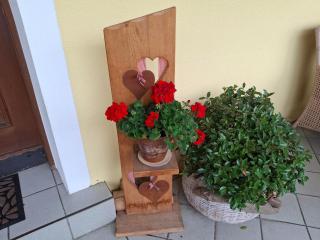 Lampererhof - Sankt Johann in Tirol - 5
