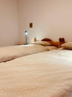 Apartment Fiemme Valley - Carano - 2