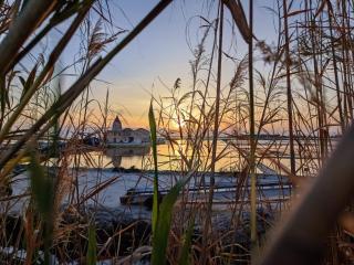 Il Glicine - Marsala - 6