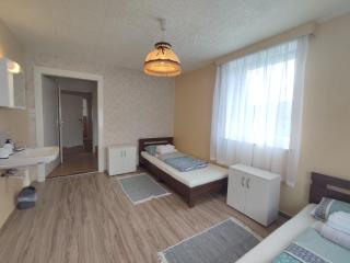 Haus Grimberg - Bad Elster - 1