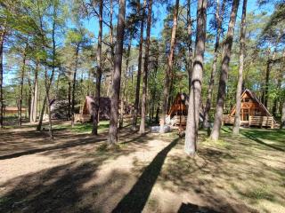 Domek w Ptasim Gaju - Bocheniec - 5