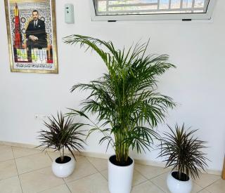 Auberge Noujoum Almaarifa - Tétouan - 4
