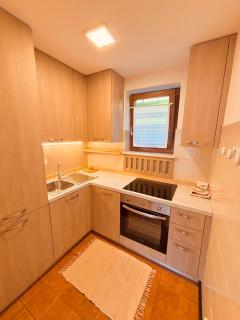 Apartment Fiemme Valley - Carano - 5