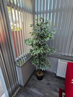Stylish and Comfortable Home - Beeston - 2