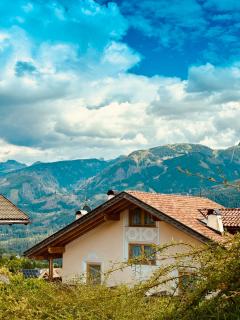 Apartment Fiemme Valley - Carano - 9