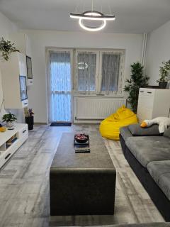 Cool Appartment - Oradea - 6