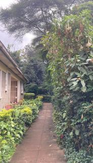 Ronnie's rustic home - Nairobi - 4