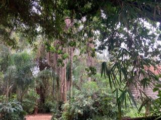 Ronnie's rustic home - Nairobi - 1