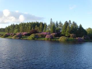 Spacious Cottage in Dartmoor - Hennock - 4